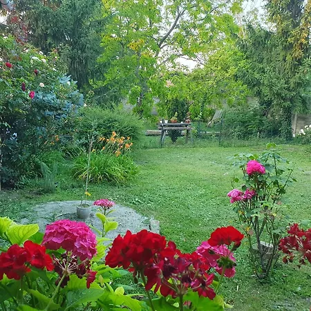 Citadela Garden Apartamento *