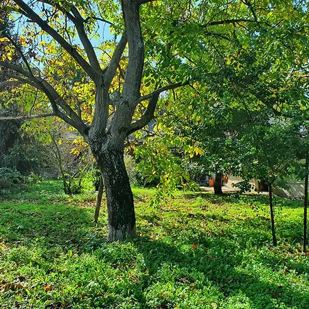 Citadela Garden * Sombor