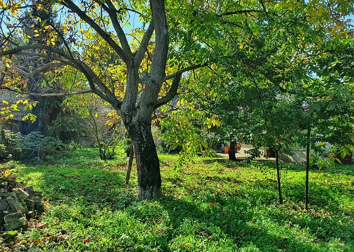 Citadela Garden * Сомбор